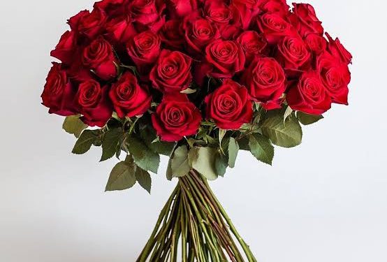 بسبب عيد الحب.. ارتفاع بنسبة 550% في مبيعات الزهور بالشرق الأوسط